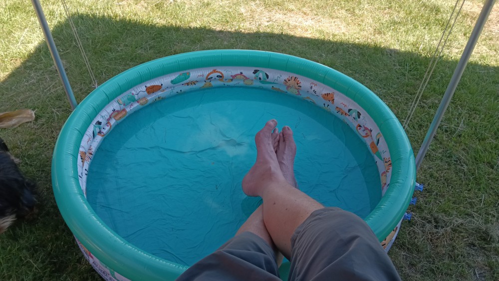 IMG-20260625-WA0001.jpeg